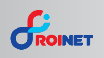 Roinet Logo